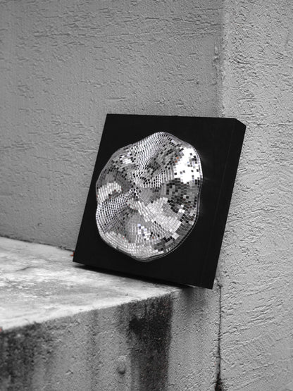 Event horizon / white hole #1