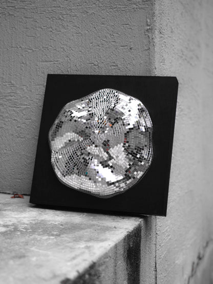 Event horizon / white hole #1