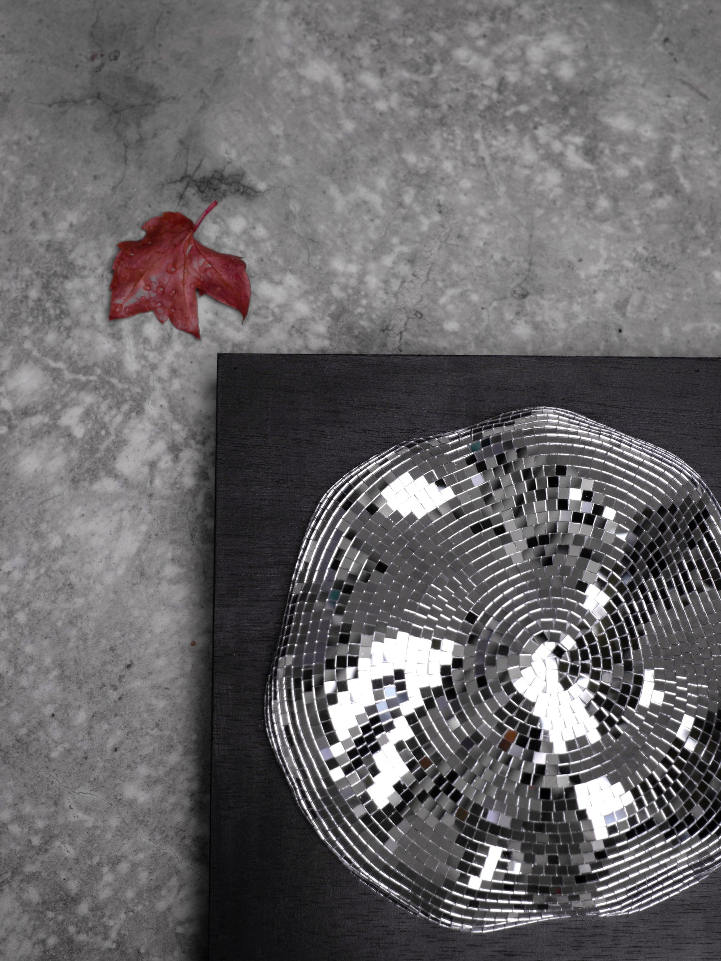 Event horizon / white hole #1