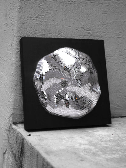 Event horizon / white hole #1