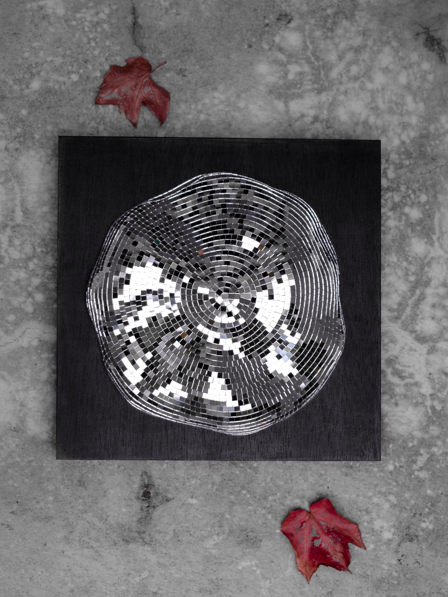 Event horizon / white hole #1