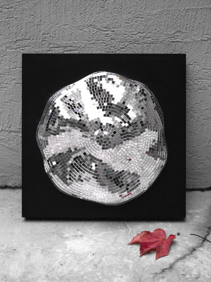 Event horizon / white hole #1