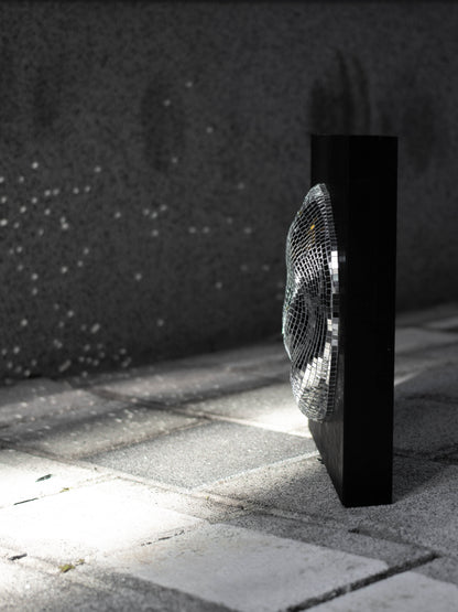 Event horizon / white hole #2