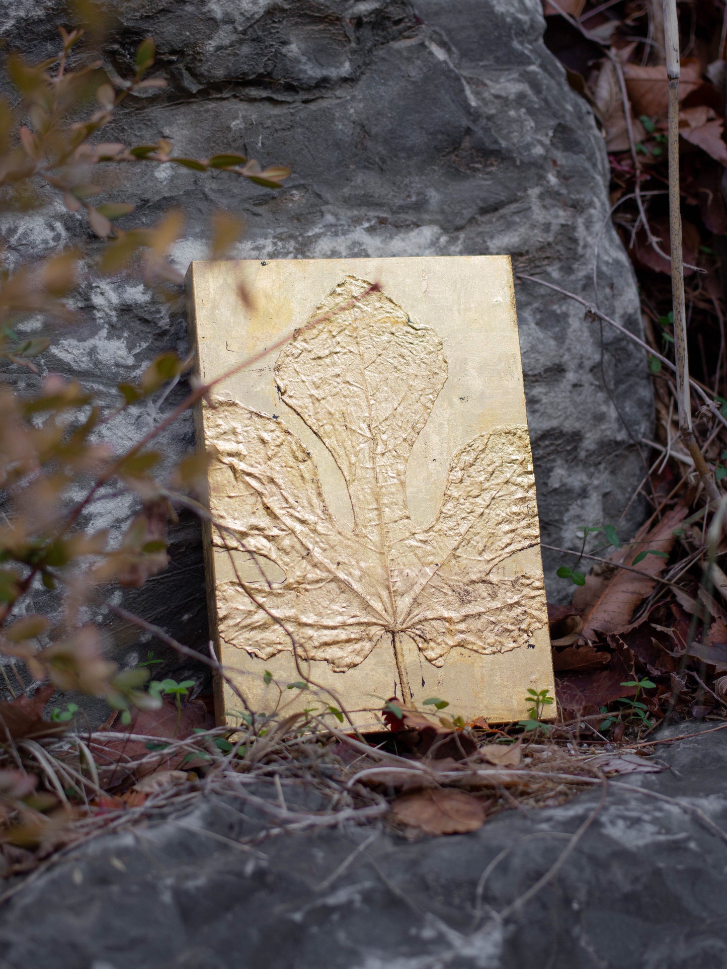 Recollection / 추억 #1