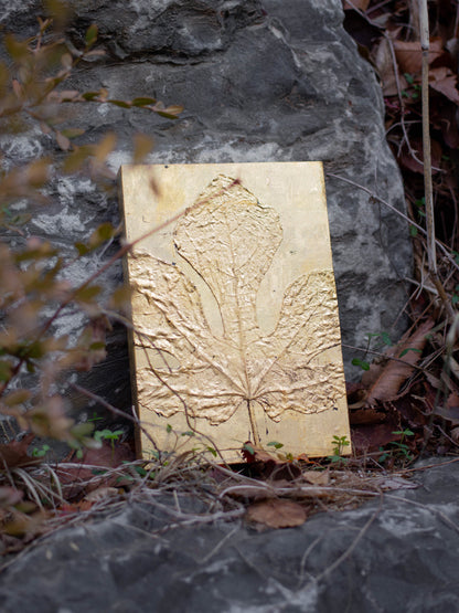 Recollection / 추억 #1