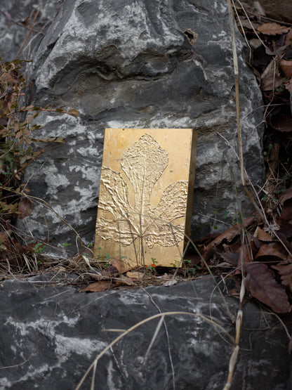 Recollection / 추억 #1