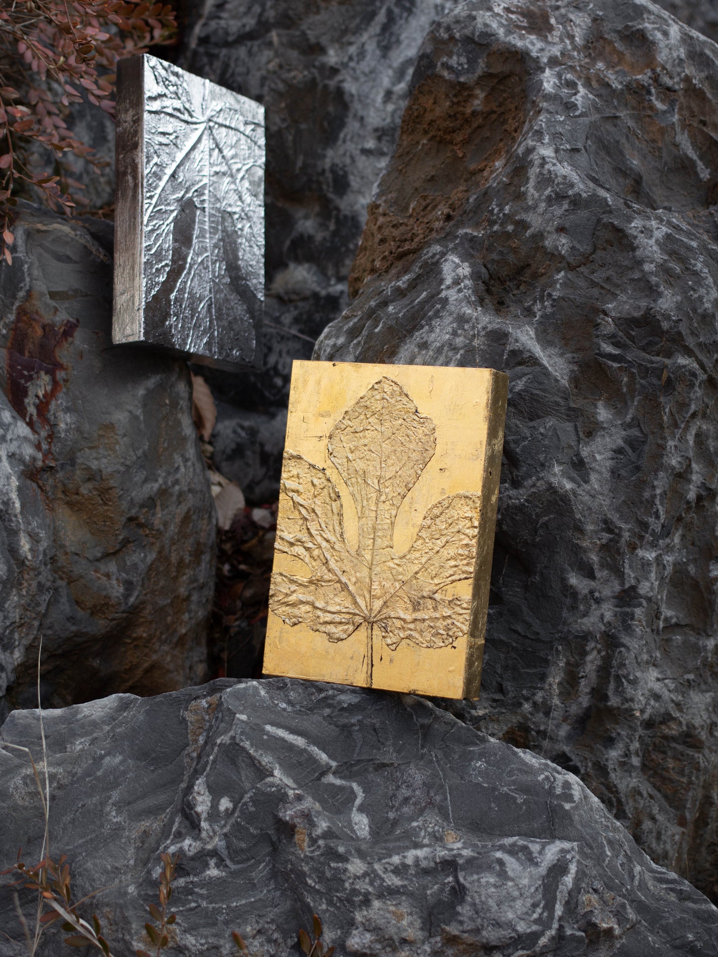 Recollection / 추억 #1