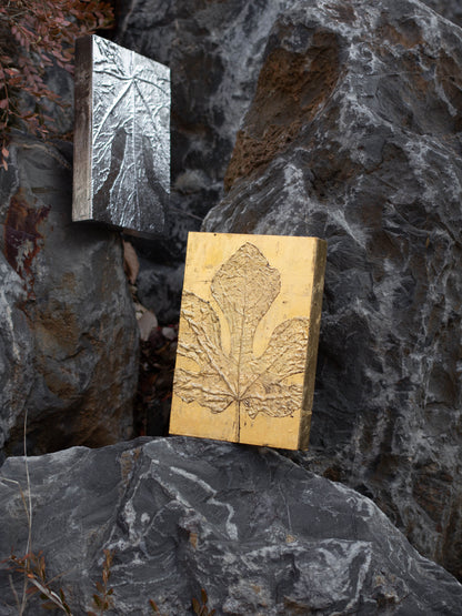 Recollection / 추억 #1