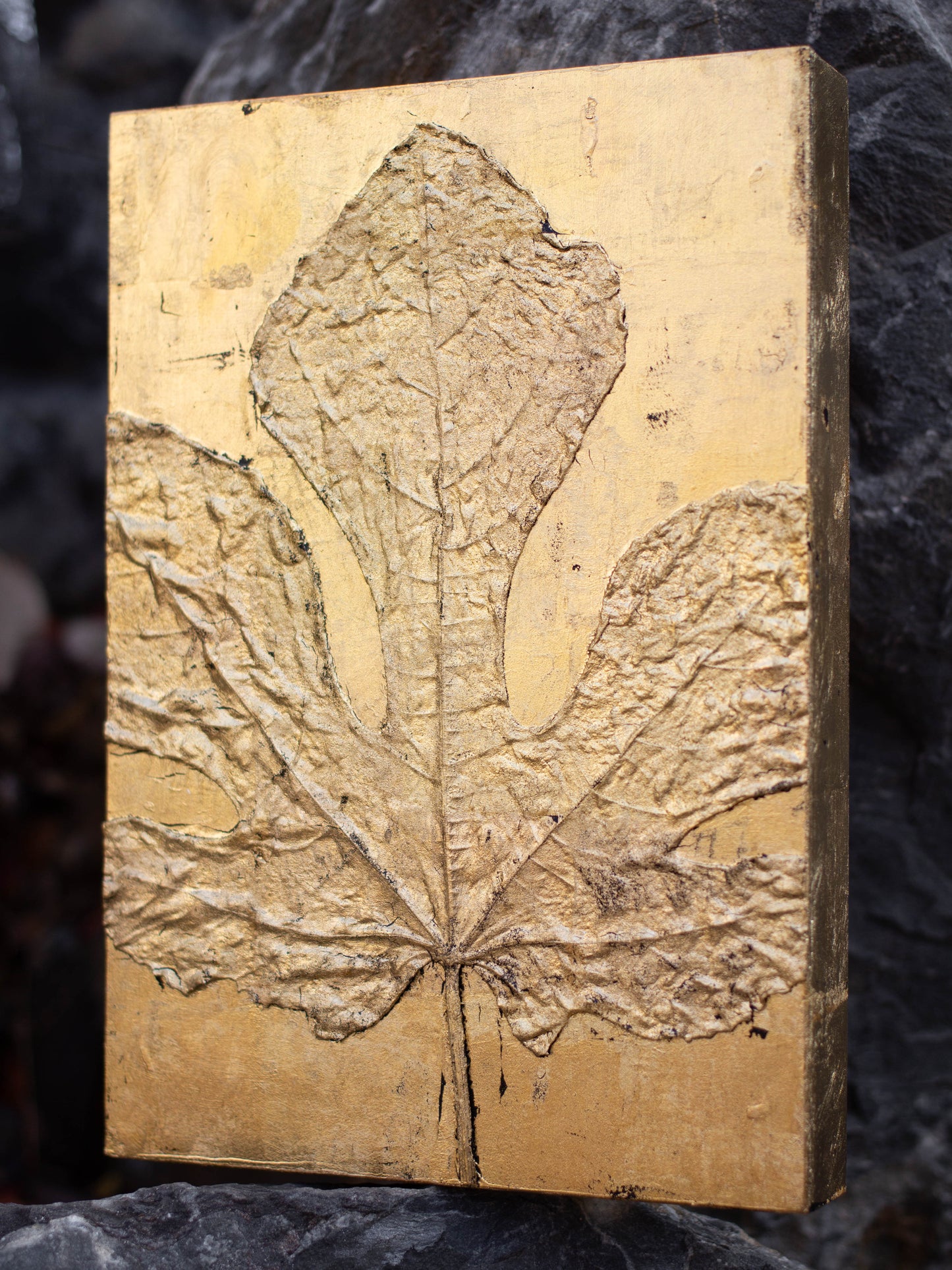 Recollection / 추억 #1