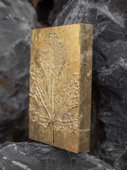 Recollection / 추억 #1