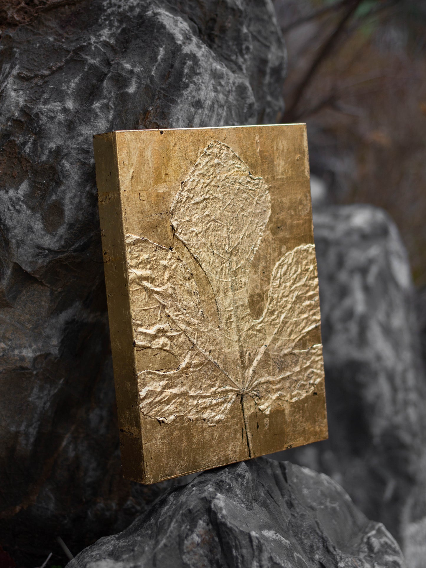 Recollection / 추억 #1