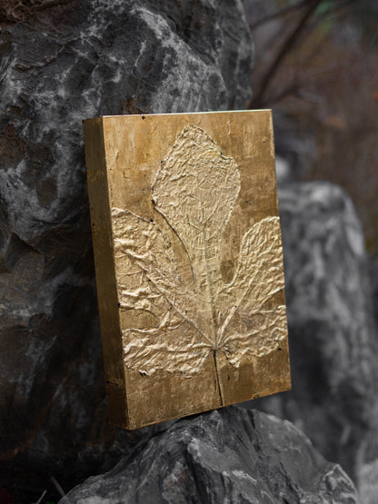 Recollection / 추억 #1