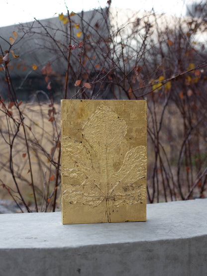 Recollection / 추억 #1